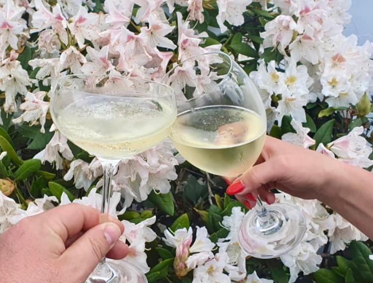 Ferienhaus Riesling Хаслох Экстерьер фото